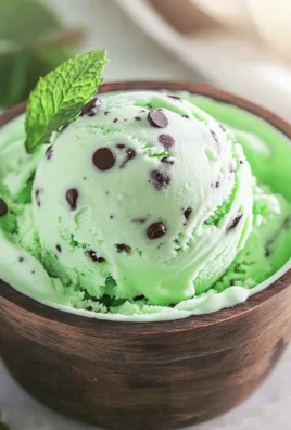 Ninja Creami Mint Chocolate Chip Ice Cream