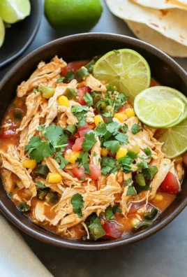 Crock Pot Fiesta Chicken